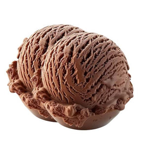 Double Scoop Chocolate Ice Cream